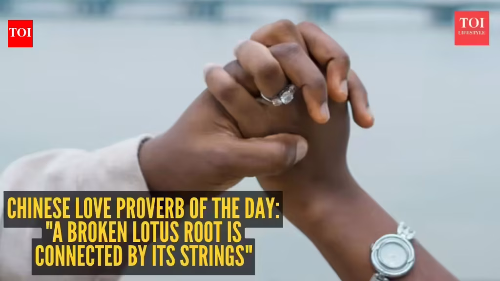 Chinese love proverb of the day: “A broken lotus root is connected by its strings”