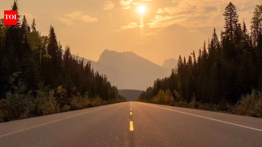 How road trips can help you disconnect from routine and improve well-being, according to Science |