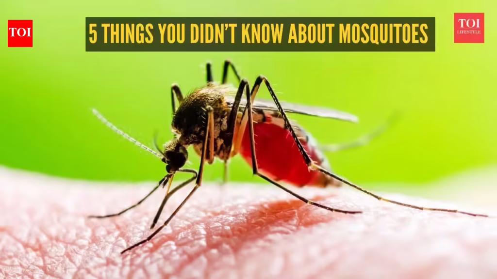 5 things you didn’t know about mosquitoes