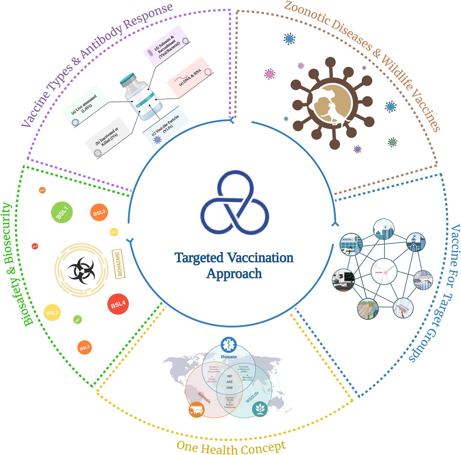A targeted vaccination strategy: Integrating vaccines into biosafety, biosecurity, and one health initiatives