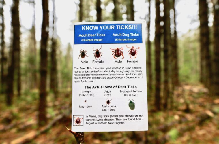 Health officials warn of bad tick and Lyme disease season | News, Sports, Jobs