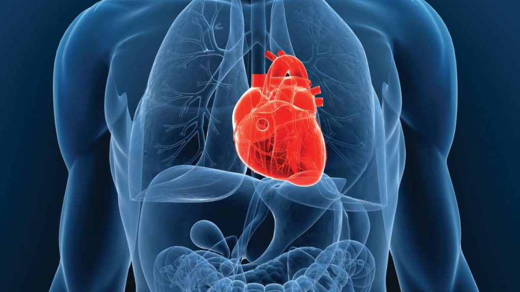 UCLA-led study finds guideline-directed medical therapy may lower hospitalization-related costs