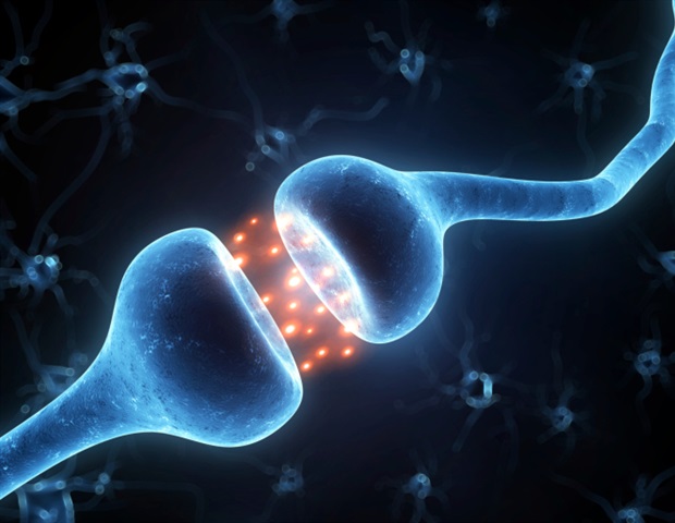 Menopausal hormone therapy linked to stronger bone health
