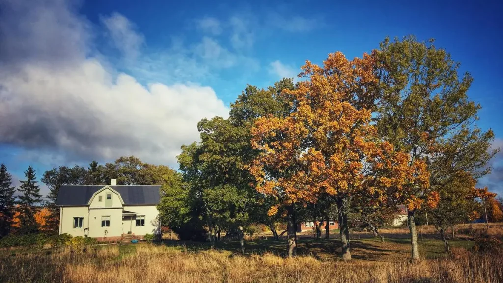 DIARY | The natural beauty of Kökar island of Finland is stunning