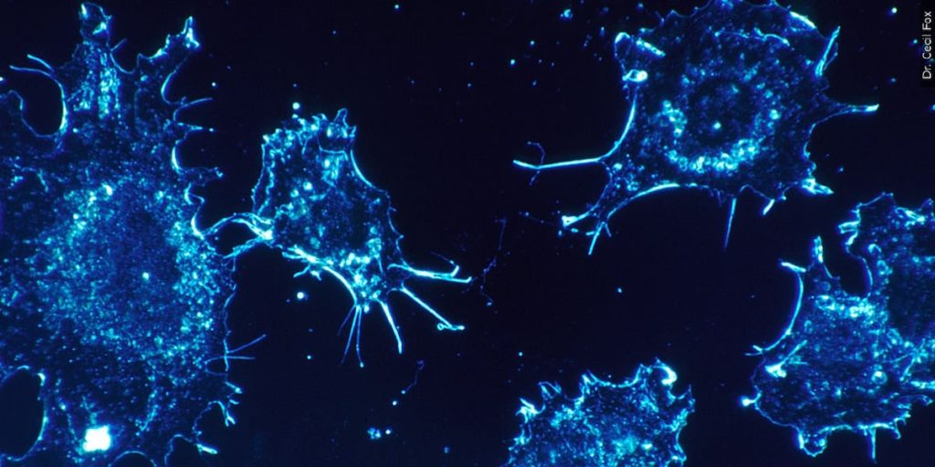 HEALTH FIRST: Expanding access to cancer treatment in SENC