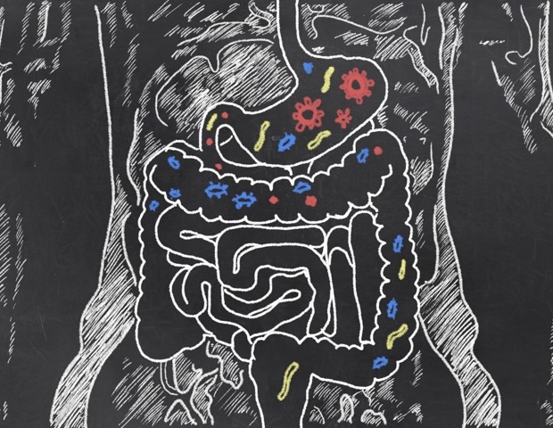 Eliminating dietary sugar may disrupt gut health and promote inflammation