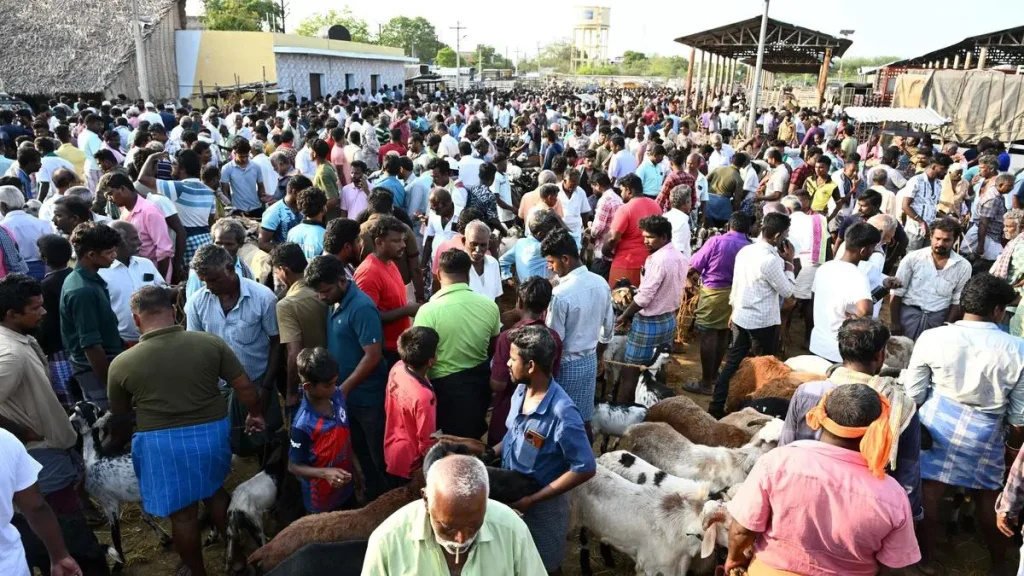 Cow Slaughter Ban Debate: What the Madras HC Order Means