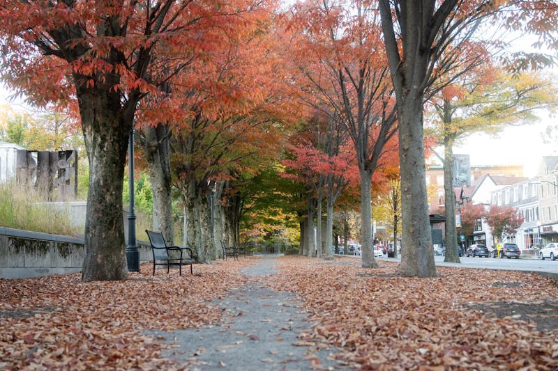 Princeton slashes reimbursement rates for external mental health clinicians