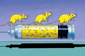 Rejuvenate Bio and Merck Animal Health Join Forces on Novel Animal Health Gene Therapy Programme