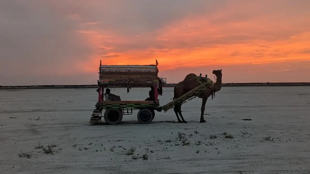 Finding Clarity on Indian Highways: A Reluctant Rider’s Diary